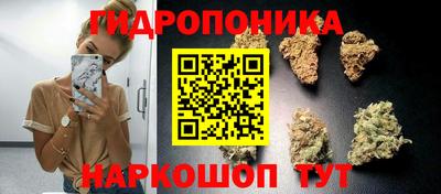 соль ск Краснознаменск