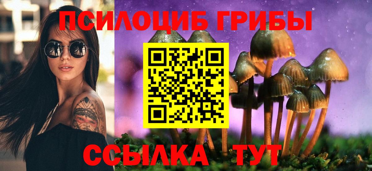 Псилоцибиновые грибы Psilocybe  закладки  Вход с VPN  Шахты  Галлюциногенные грибы GOLDEN TEACHER 